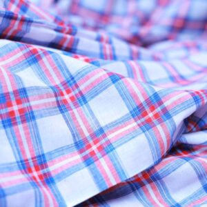 Buy Red Check Shirt